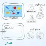 Tapis de jeu aquatique gonflable   بساط مائي للعب آمن للأطفال 🥰